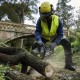 Karcher CS 400/36 Bp Battery Power+ Chainsaw | 1.042-504.0